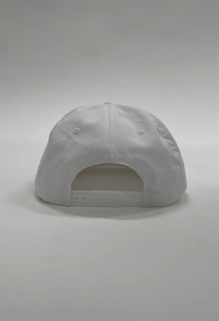 DYE HOUSE HAT