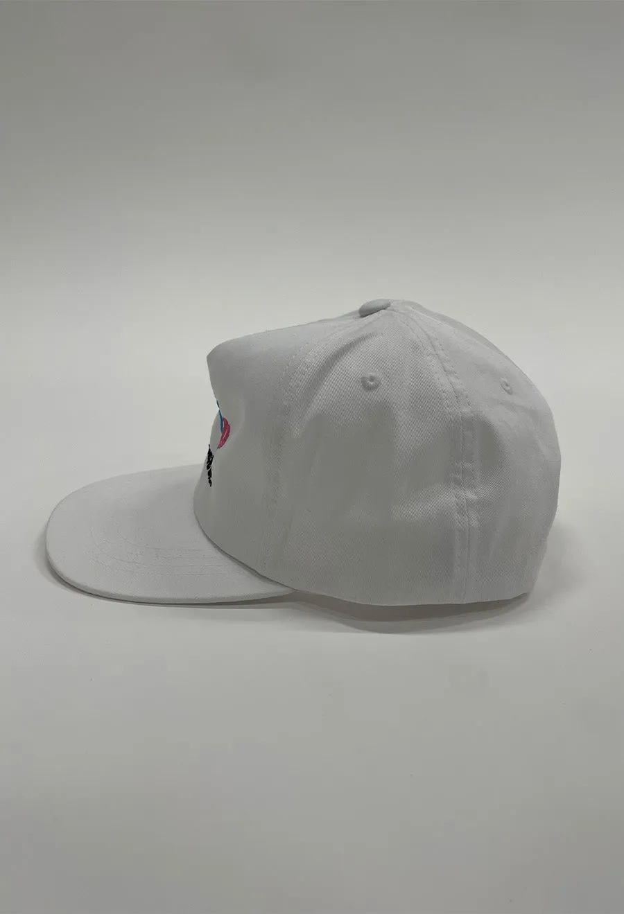 DYE HOUSE HAT