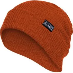 Dynamic Discs Slouch Beanie