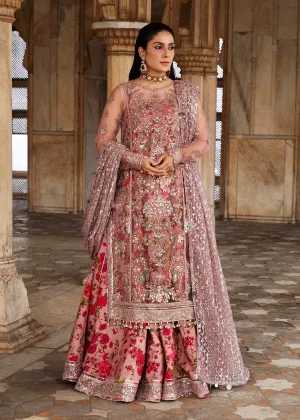 HUSSAIN REHAR - Luxury Festive FW/24 | SHAM